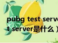 pubg test server为什么打不开（pubg test server是什么）