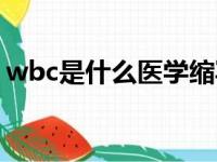 wbc是什么医学缩写（wbc是什么意思医学）