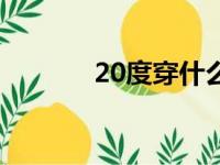 20度穿什么鞋（20度穿什么）