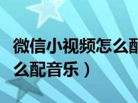 微信小视频怎么配音乐和文字（微信小视频怎么配音乐）