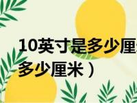 10英寸是多少厘米蛋糕够几个人（10英寸是多少厘米）