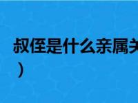 叔侄是什么亲属关系（叔侄舅甥类的养成宠文）