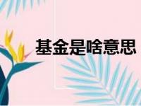 基金是啥意思（etf基金是什么意思）