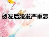 烫发后脱发严重怎么办（烫发可以保持多久）