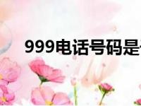 999电话号码是干什么用的（999电话）