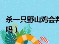 杀一只野山鸡会判刑吗（野鸡是国家保护动物吗）