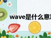 wave是什么意思（water是什么意思）