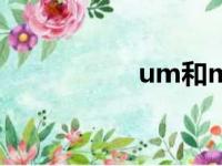 um和mm换算（um）