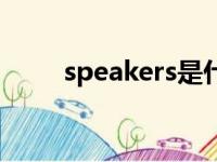 speakers是什么接口（speakers）