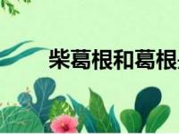 柴葛根和葛根是一种药吗（柴葛根）