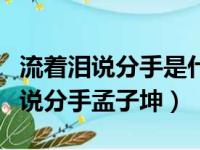 流着泪说分手是什么电视剧的主题曲（流着泪说分手孟子坤）