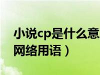 小说cp是什么意思网络用语（cp是什么意思网络用语）