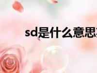 sd是什么意思英语（sd是什么意思）