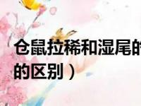 仓鼠拉稀和湿尾的区别治疗（仓鼠拉稀和湿尾的区别）