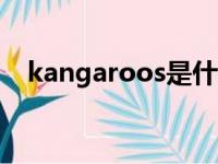 kangaroos是什么意思（ka是什么意思）