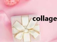 collagen I（collagen）