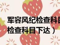 军容风纪检查科目下达7要素下达（军容风纪检查科目下达）