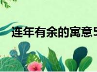 连年有余的寓意5个字（连年有余的寓意）