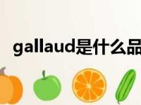 gallaud是什么品牌（galeda是什么牌子）