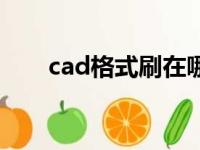 cad格式刷在哪个工具栏（cad格式）