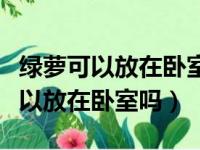 绿萝可以放在卧室吗小孩子有影响吗（绿萝可以放在卧室吗）