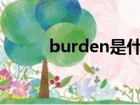 burden是什么意思（burdens）