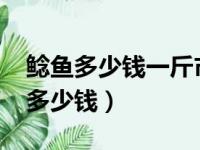 鲶鱼多少钱一斤市场价2023（鲶鱼价格一斤多少钱）