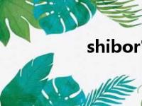 shibor官网（shibor）