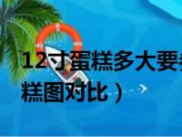 12寸蛋糕多大要参照物图片（10寸和12寸蛋糕图对比）