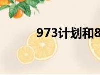 973计划和863计划（973计划）