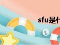 sfu是什么意思（sfu）