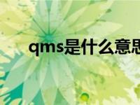 qms是什么意思呀（qms是什么意思）