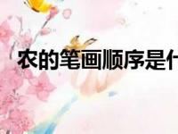 农的笔画顺序是什么（农的笔顺笔画顺序）