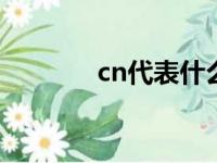 cn代表什么（issn代表什么）