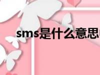 sms是什么意思中文（sms是什么意思）