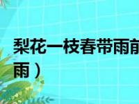 梨花一枝春带雨前一句是什么（梨花一枝春带雨）