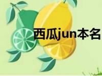 西瓜jun本名（西瓜jun个人资料）