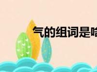 气的组词是啥（气的组词是什么）