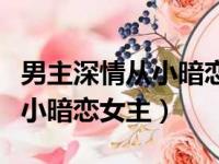 男主深情从小暗恋女主的电视剧（男主深情从小暗恋女主）