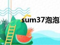 sum37泡泡面膜价格（sum37）