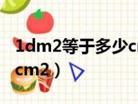 1dm2等于多少cm2怎么读（1dm2等于多少cm2）