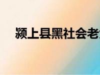 颍上县黑社会老大名单（颍上县黑社会）