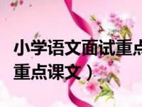 小学语文面试重点课文人教版（小学语文面试重点课文）