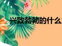 兴致勃勃的什么意思（兴致勃勃的什么）