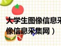 大学生图像信息采集网手机版官网（大学生图像信息采集网）