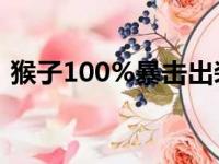 猴子100%暴击出装（猴子暴击10000出装）