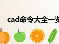 cad命令大全一览表（cad怎么输入命令）