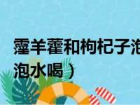 霪羊藿和枸杞子泡水喝禁忌（霪羊藿和枸杞子泡水喝）