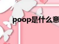 poop是什么意思（poopr11pluskt）