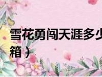 雪花勇闯天涯多少钱一箱（勇闯天涯多少钱一箱）